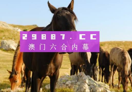 汽车饰品的销售 第430页