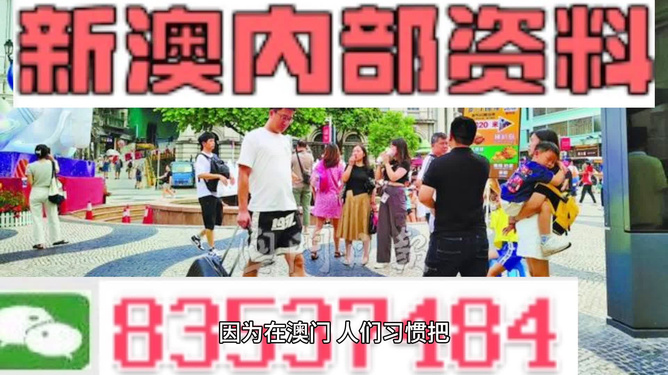 2024澳门正版免费精准大全,实践调查说明_线上版92.337