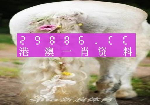 汽车饰品的销售 第356页