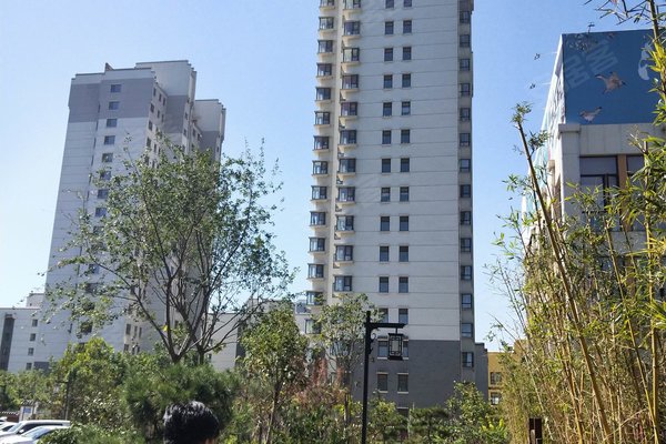 汽车饰品的销售 第326页