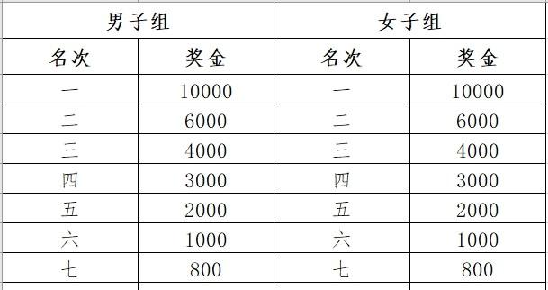 汽车饰品的销售 第325页