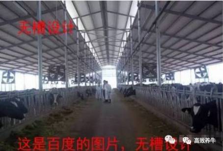 最新牛槽设计图及其制作步骤指南