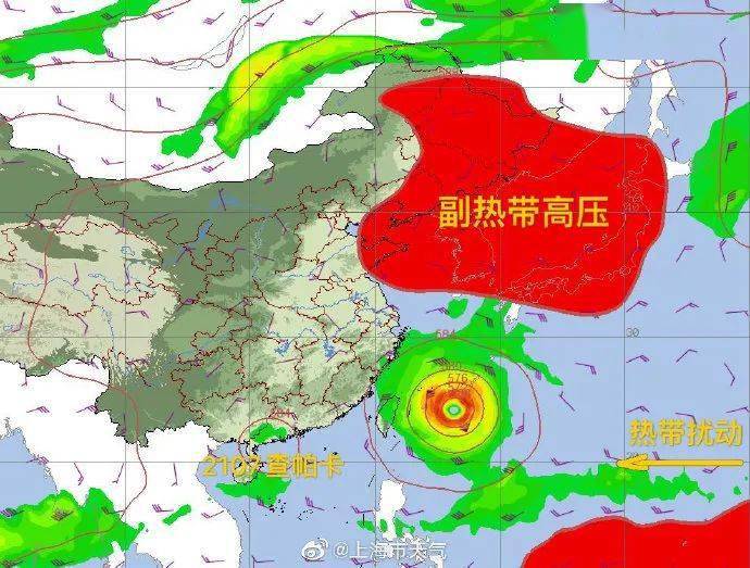 台风最新动态更新，实时追踪与预警通知