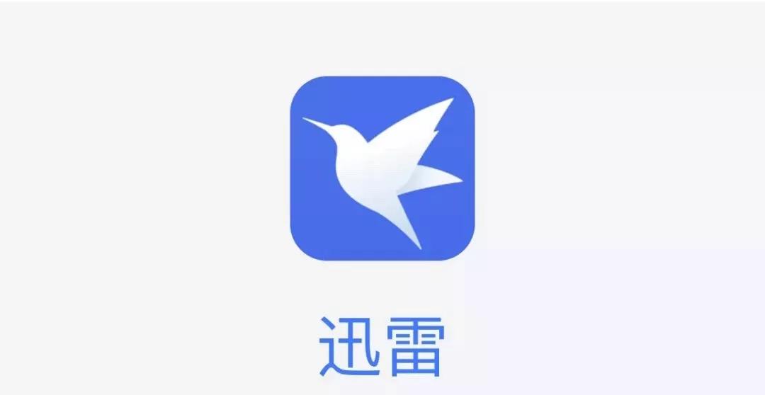 数字时代的下载先锋，最新版迅雷下载全解析