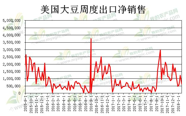 一粒豆子背后的奇妙旅程与励志故事，美豆最新篇章揭晓