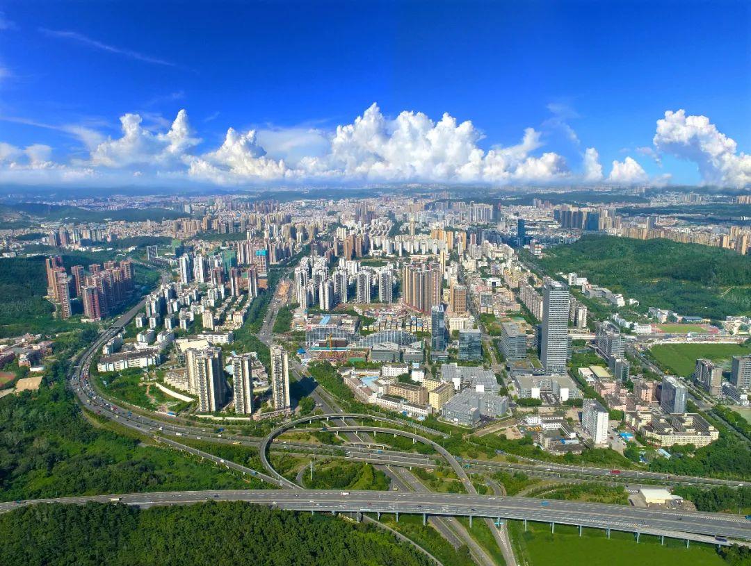 龙岗新动态，变化中的力量，学习铸就自信与成就