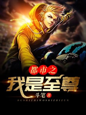 至尊文化魅力探索，最新视角下的独特体验