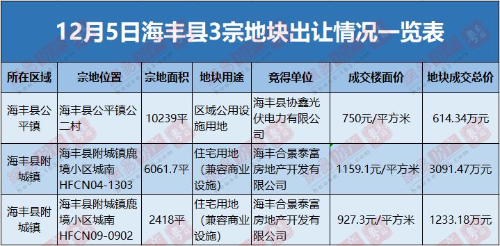 海丰最新房价动态及小巷深处的独特风情与秘密宝藏