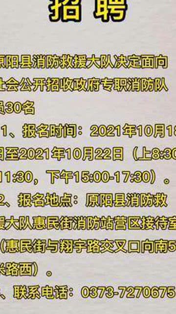 原阳最新招聘，时代脉搏下的机遇与挑战解析